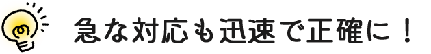 急な対応も迅速で正確に！